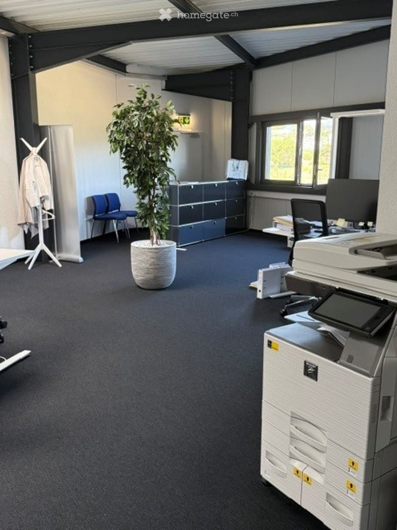 Office space with carpeted floor, large potted plant, grey cabinet, two chairs, computer screen, and printer.
