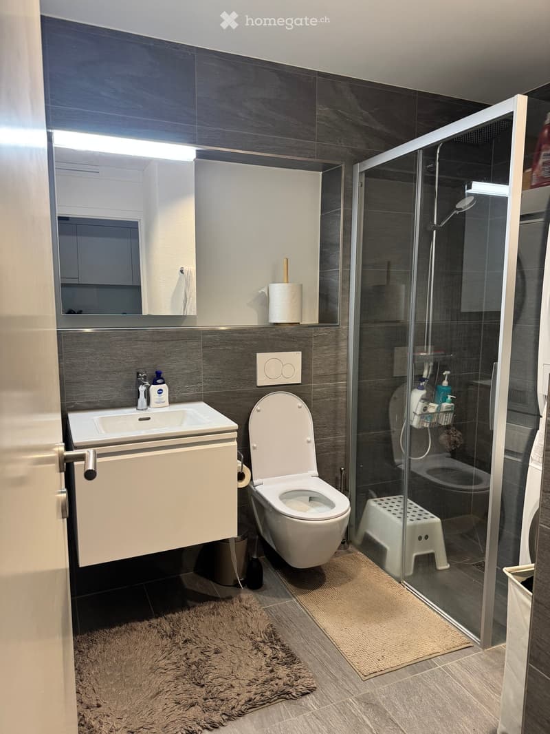 Modern bathroom with dark grey tiles, white fixtures, a glass-enclosed shower, a sink with a cabinet, and a toilet. Includes a mirror, toilet paper holder, and a small stool inside the shower.