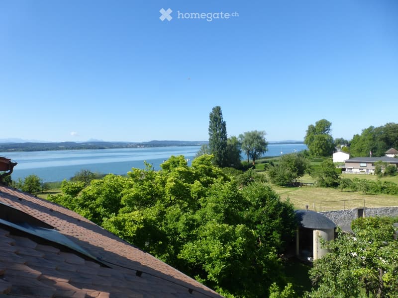 View from a rooftop showing a serene lake, surrounded by lush greenery and distant hills under a clear blue sky.