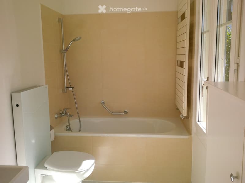 Modern bathroom with a bathtub, toilet, showerhead, and handrail. Light-colored tiles and a window provide natural light.