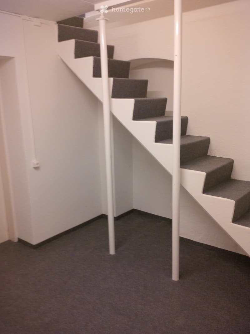Modern staircase with white railings and dark carpeted steps, leading upwards in a narrow hallway with white walls and dark flooring.