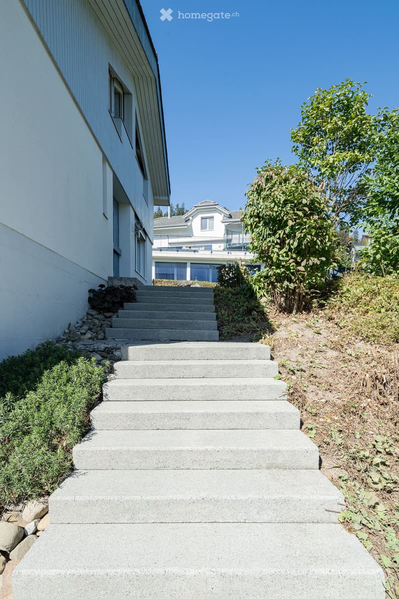 Concrete steps leading up to a house entrance, surrounded by greenery and rocks.
