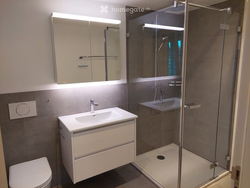Modern bathroom with a white sink, toilet, mirrored cabinet with LED lighting, and a glass-enclosed shower with a handheld showerhead.