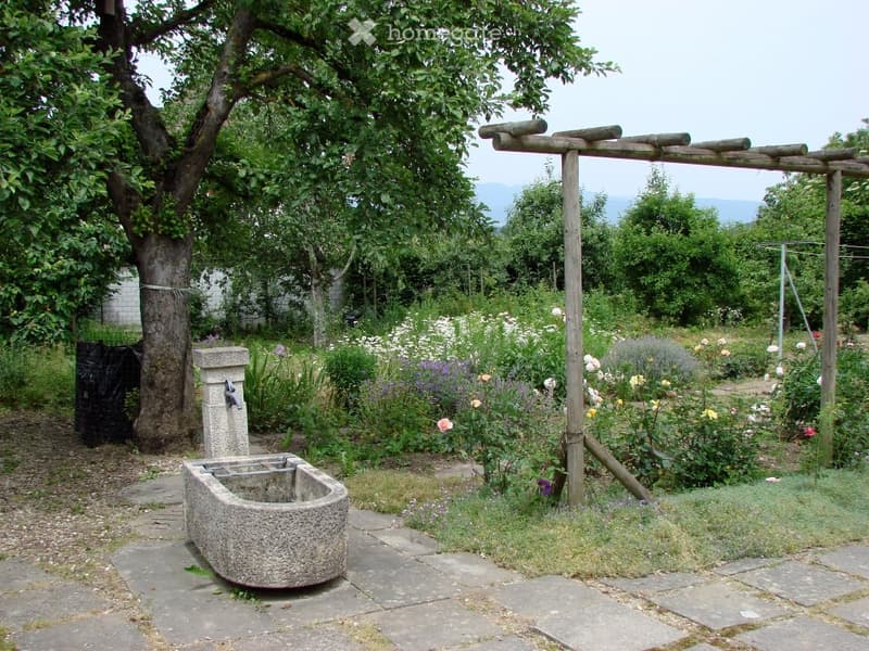 A serene garden with a stone water fountain, lush greenery, and a wooden pergola. The area features a variety of flowering plants and trees, creating a peaceful outdoor setting.