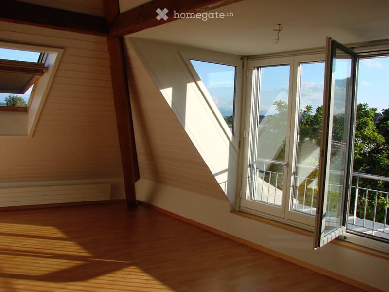 Empty attic room with wooden flooring, slanted wooden ceiling beams, large windows, and a skylight, allowing natural light to fill the space.