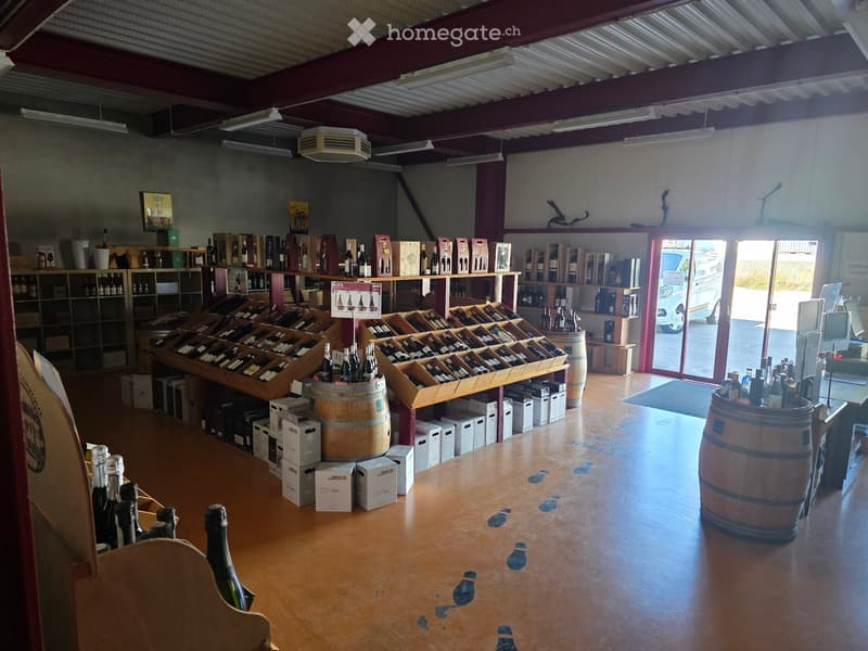 Wine shop interior with wooden shelves filled with wine bottles, wooden barrels, and boxes on the floor.