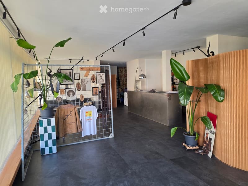 Modern interior with dark flooring, large potted plants, framed artwork, clothing display, and a reception area with a lamp and screen.