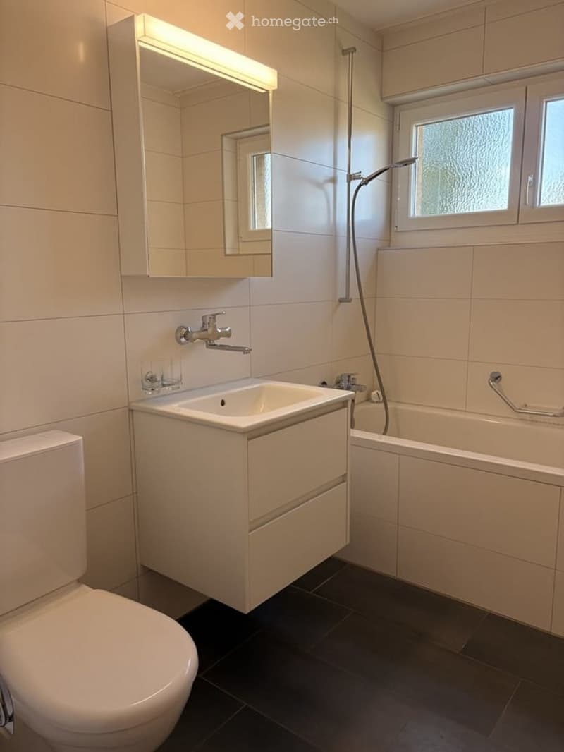 Modern bathroom with white tiles, a sink with a mirror cabinet, a toilet, and a bathtub with a shower hose.