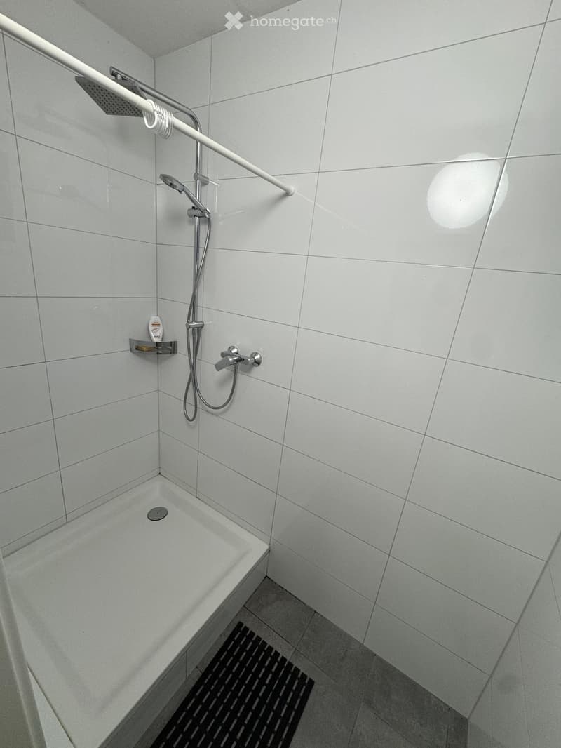 Modern bathroom with a white tiled shower area, a bathtub, a handheld showerhead, and a fixed shower rail.
