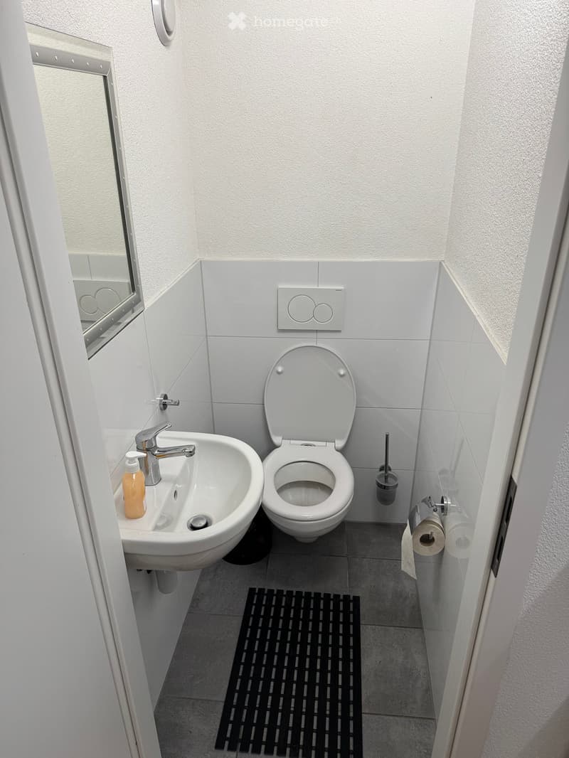 Modern bathroom with white tiles, a toilet, a sink with a faucet, a mirror, a soap dispenser, and a toilet paper holder. A black mat is placed in front of the toilet.