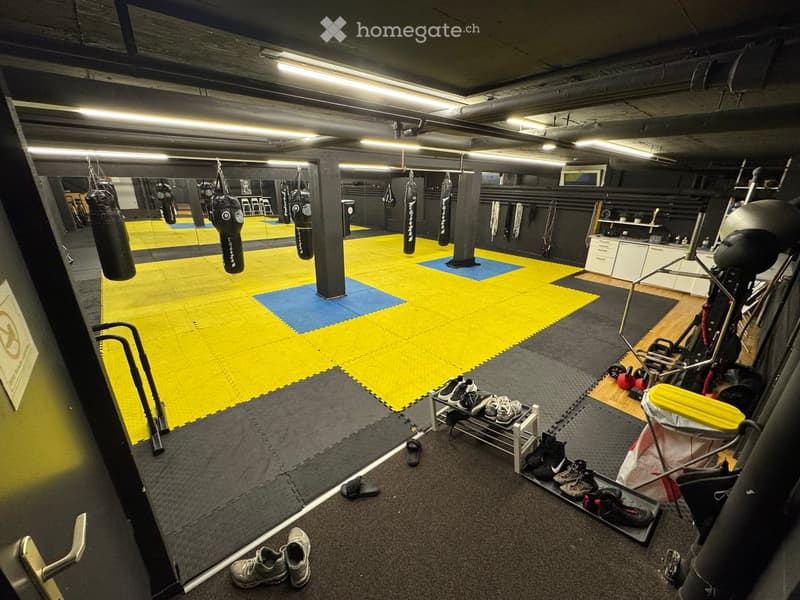 A spacious gym with boxing bags hanging from the ceiling, a large mat area, shelves with shoes, and various exercise equipment.