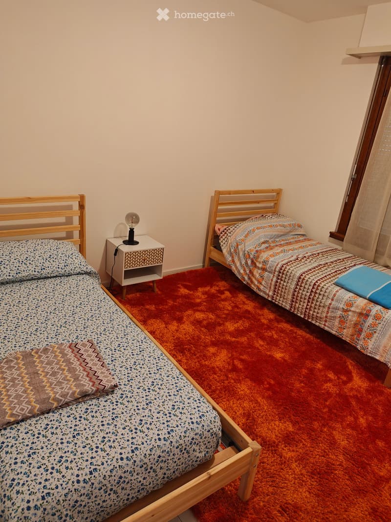Cozy bedroom with two single beds, patterned bedding, a nightstand with a lamp, and a red shag rug.