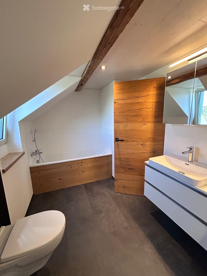 Modern bathroom with a wooden door, white toilet, bathtub, sink, and mirror. Features exposed wooden beams and a skylight window.