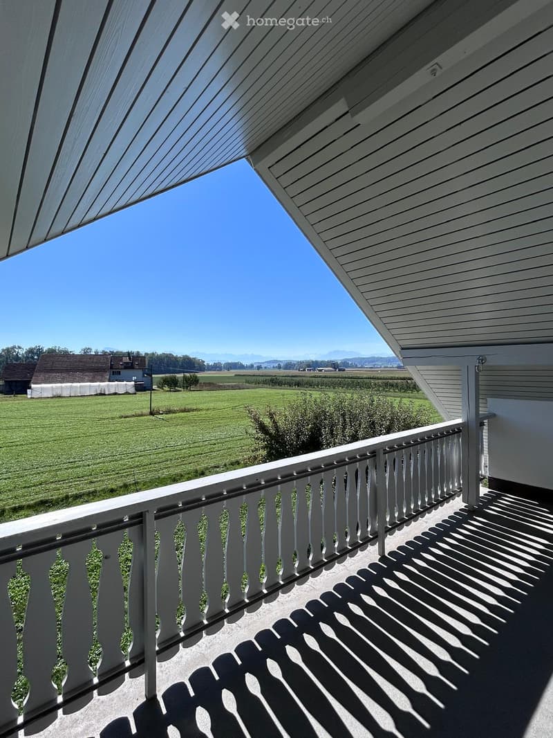 A spacious balcony with white railings and a covered roof, overlooking a green field and distant mountains under a clear blue sky.