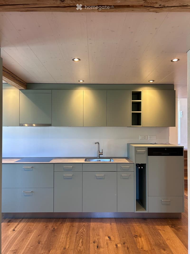 Modern kitchen with grey cabinets, a stainless steel sink, and a dishwasher, featuring wooden flooring and recessed lighting.
