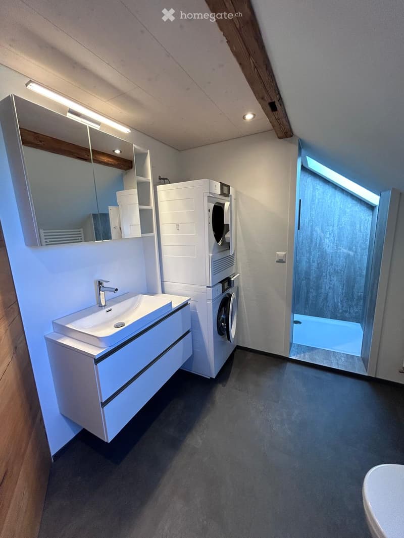 Modern bathroom with a white sink, mirror, washing machine, and a glass-enclosed shower area.