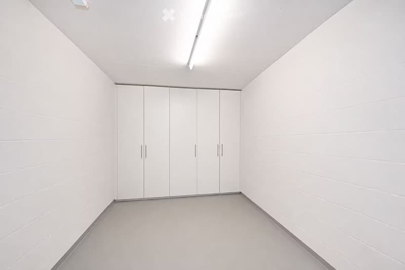 Completely empty room with white walls, white floor, and built-in white closet units.