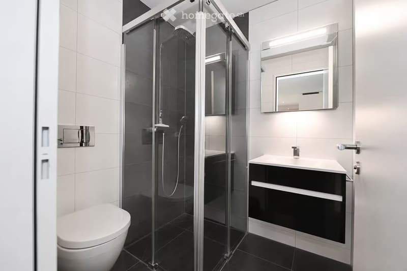 Modern bathroom with a glass-enclosed shower, a toilet, a sink with a vanity cabinet, and a large mirror above the sink.