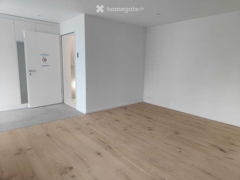 empty room, white walls, wooden floor, grey entrance floor, door