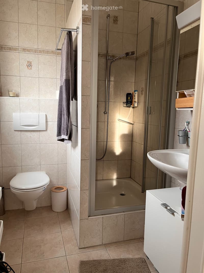Salle de bain douche / wc