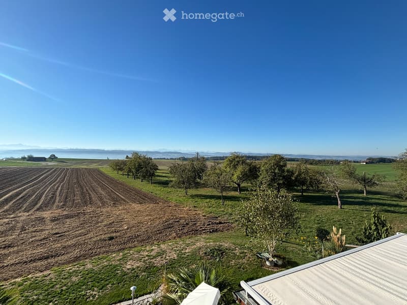 A panoramic view of a rural landscape with cultivated fields, scattered trees, and distant mountains under a clear blue sky.