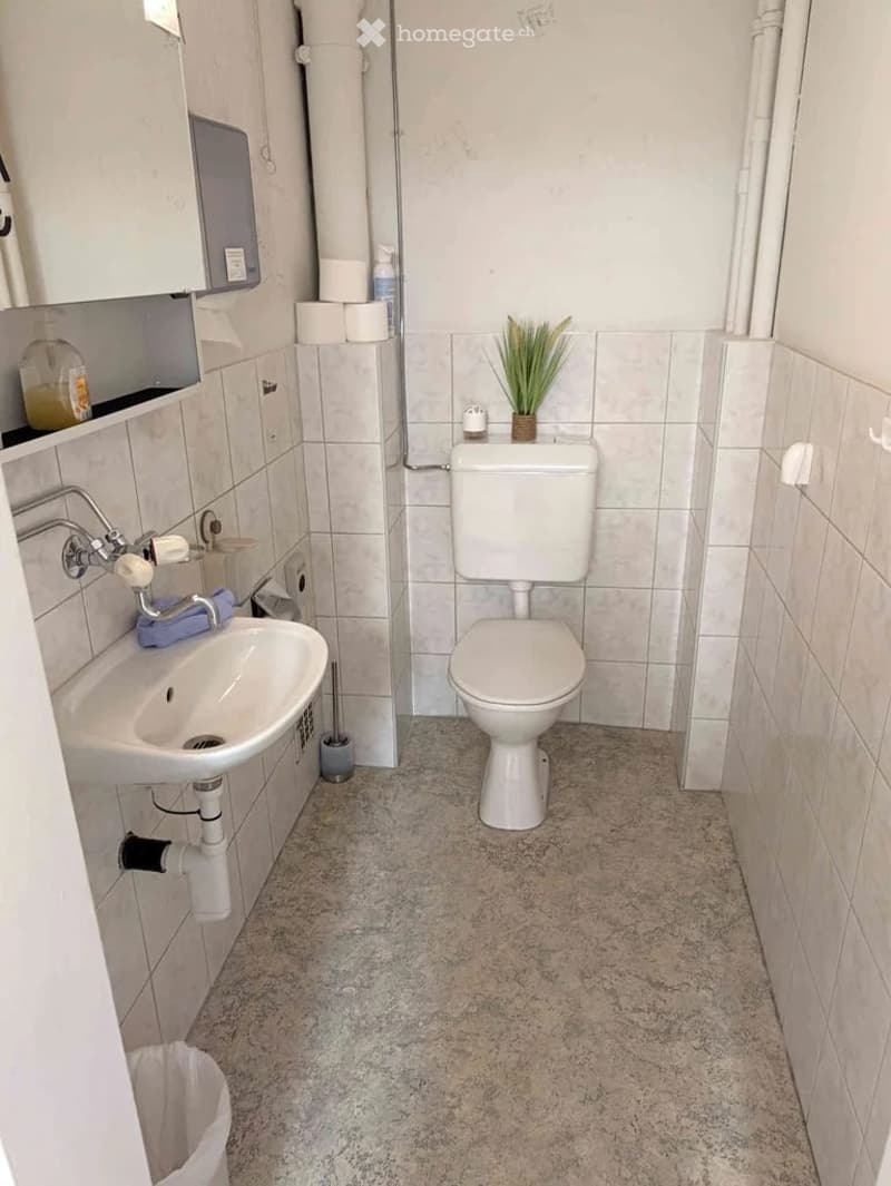 A compact bathroom with a toilet, sink, and small cabinet. The walls are tiled, and the floor is covered with a light-colored, speckled tile. Toilet paper and a small potted plant are placed on the toilet tank.