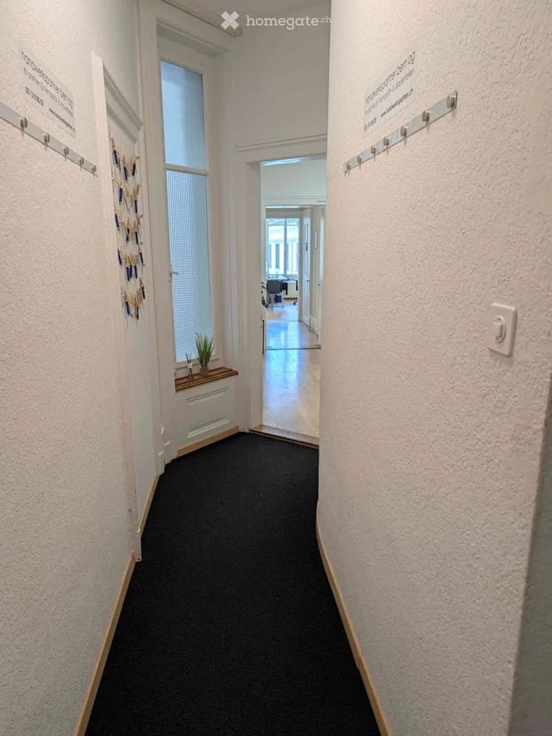 A clean, well-lit hallway with a dark carpeted floor, white walls, and a small window with blinds. There is a coat rack on the left and a small plant on a shelf near the window. The hallway leads to an open area with more rooms visible in the background.