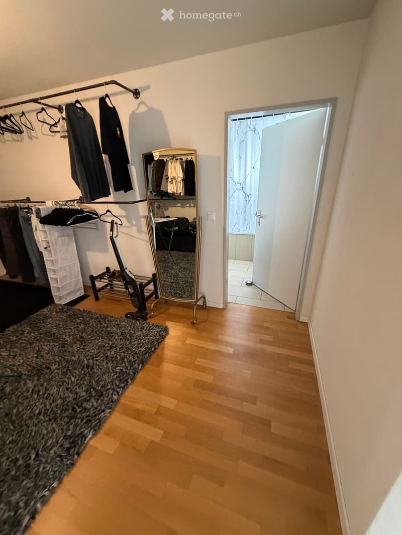 A well-lit hallway with wooden flooring, a large rug, a wardrobe with hanging clothes, a mirror, and a vacuum cleaner placed near the wardrobe.