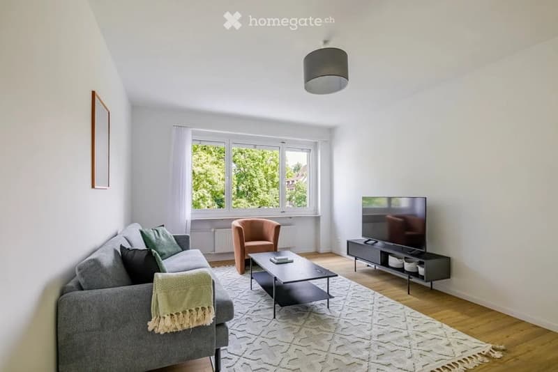 Modern living room with grey sofa, coffee table, armchair, television, and a large window with white curtains.