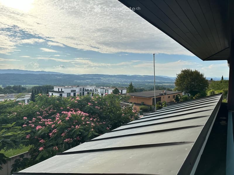 View from a balcony showing a scenic landscape with trees, houses, and distant hills under a partly cloudy sky.