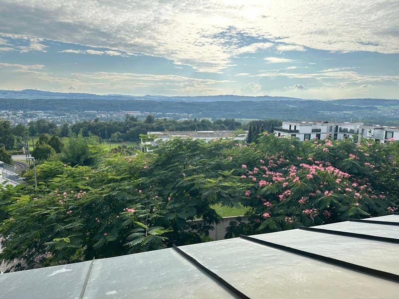 View from a rooftop terrace showing lush greenery, pink flowering trees, and a distant cityscape with buildings and hills under a partly cloudy sky.
