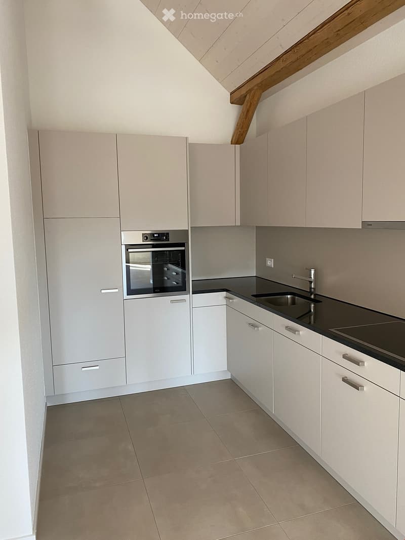 Offene Küche (Glaskeramik, Backofen, Kühlschrank)