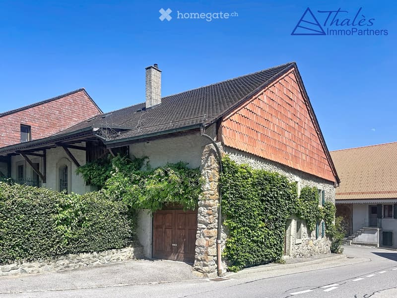 Traditional two-story house with a stone facade, wooden garage door, and ivy-covered walls. The roof is covered with red tiles, and there is a chimney on the left side.