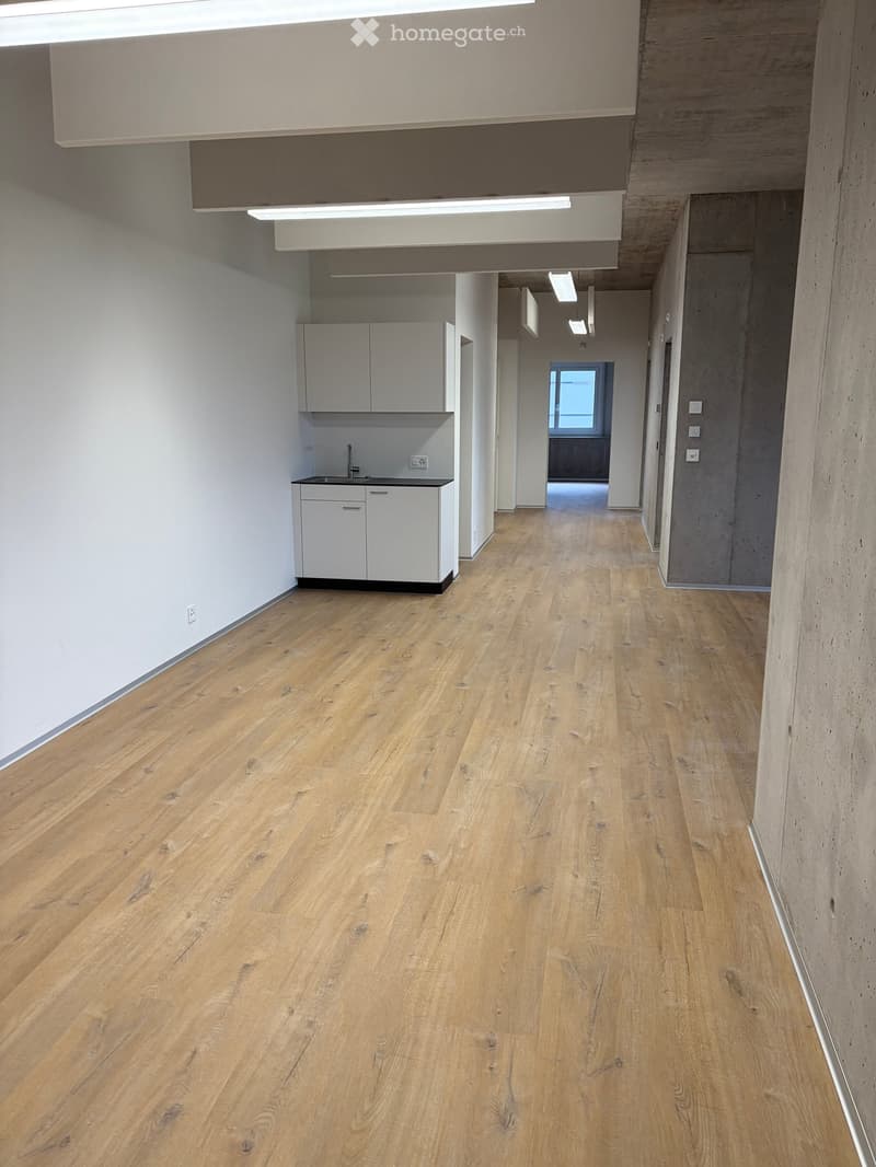 Modern hallway with light wooden flooring, white walls, and a small kitchenette area featuring white cabinets and a sink.