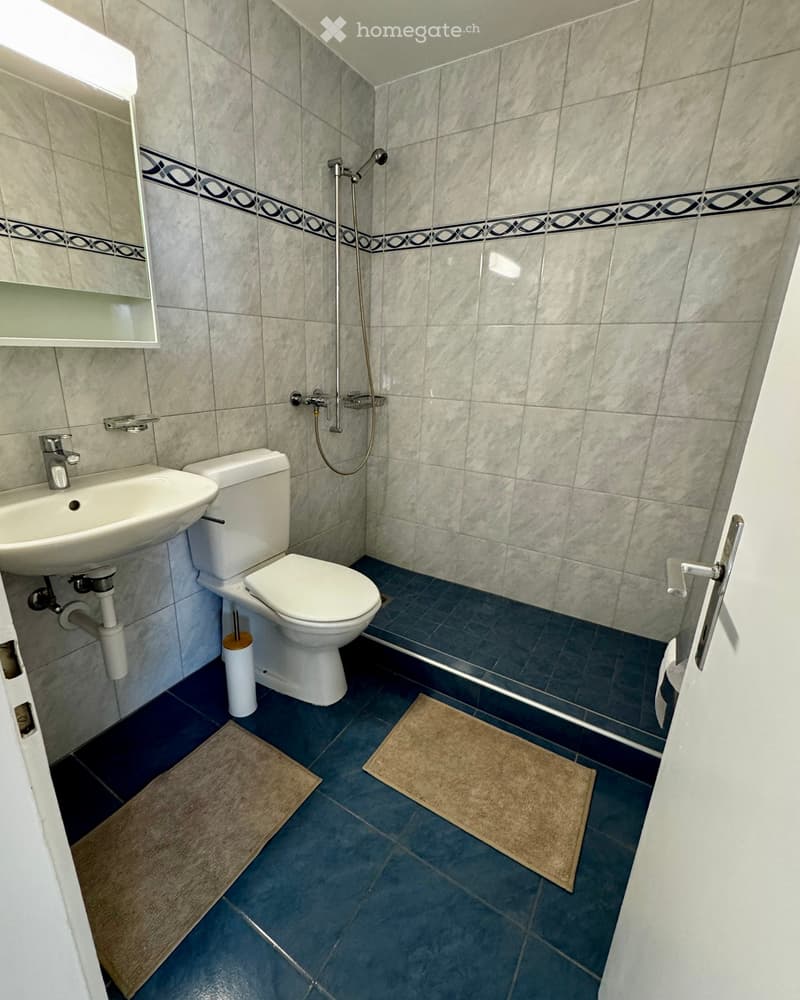 Modern bathroom with a toilet, sink, mirror, and shower. Features blue tiled flooring and beige bathroom mats.