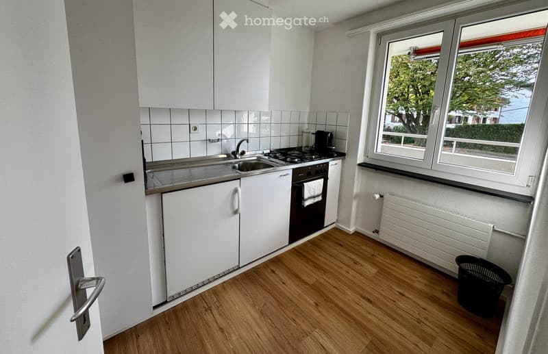 Modern kitchen with white cabinets, stainless steel sink, oven, and a window overlooking a green area.