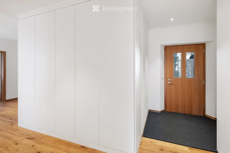 Modern hallway with white walls, wooden flooring, built-in white cabinetry on one side, and a wooden door with glass panels at the end.