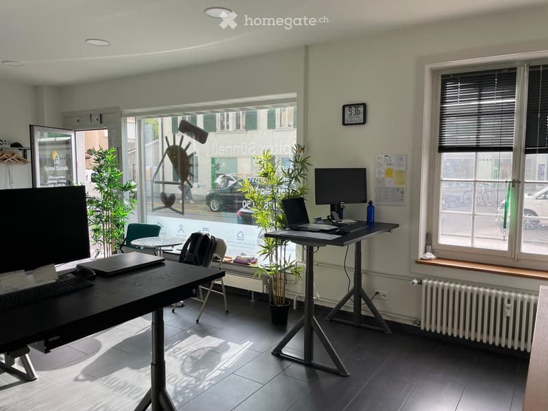 Modern office space with two standing desks, chairs, laptops, screens, potted plants, and a radiator near the window.