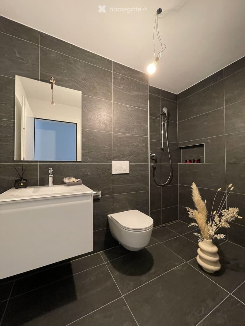 Modern bathroom with dark grey tiles, white sink, toilet, mirror, and decorative vase with dried plants.