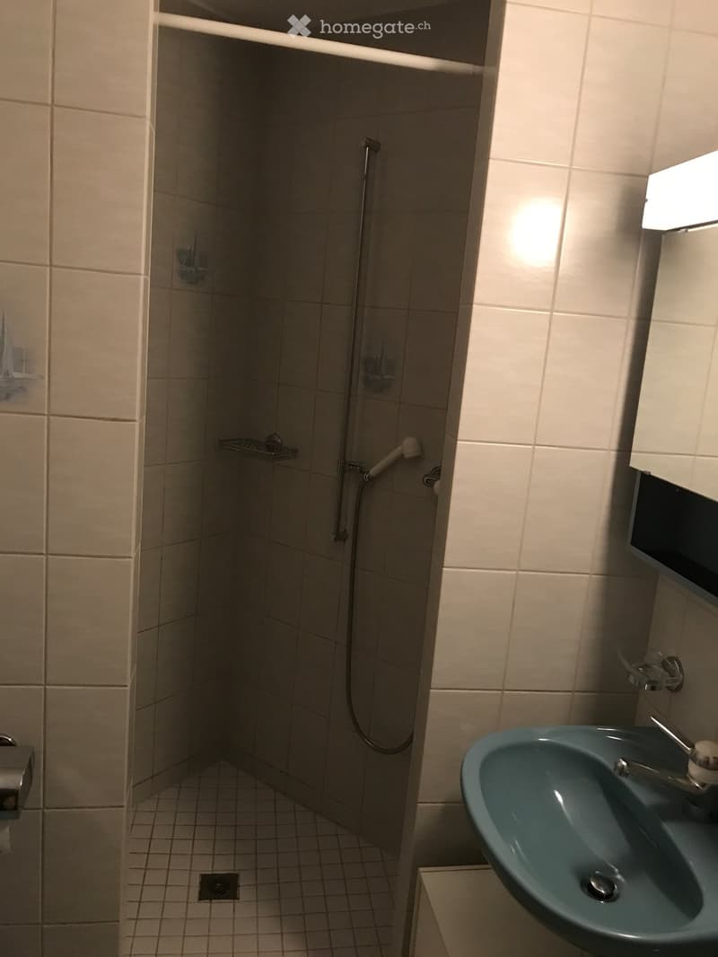 Modern bathroom with a corner shower, tiled walls, a blue sink with a faucet, and a shower hose with a handheld showerhead.