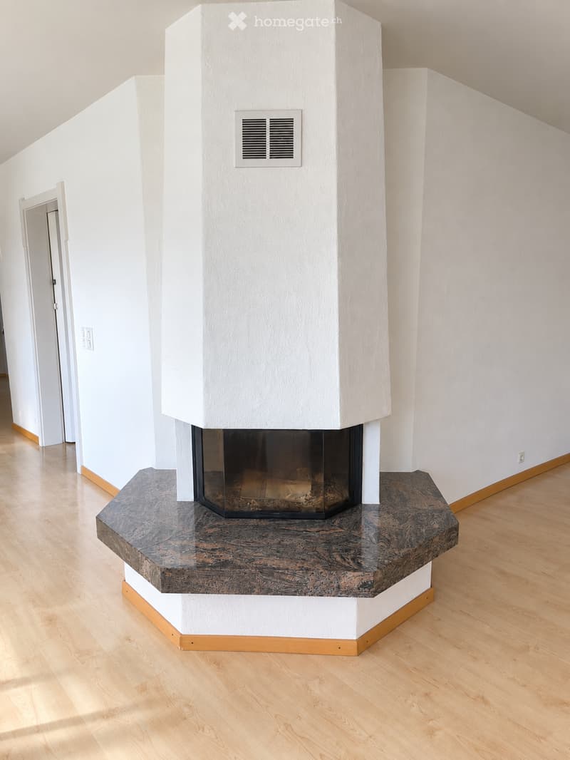 A modern hallway with a central fireplace featuring a dark stone surround and a sleek glass front. The floor is light wood, and the walls are white with a subtle textured finish.