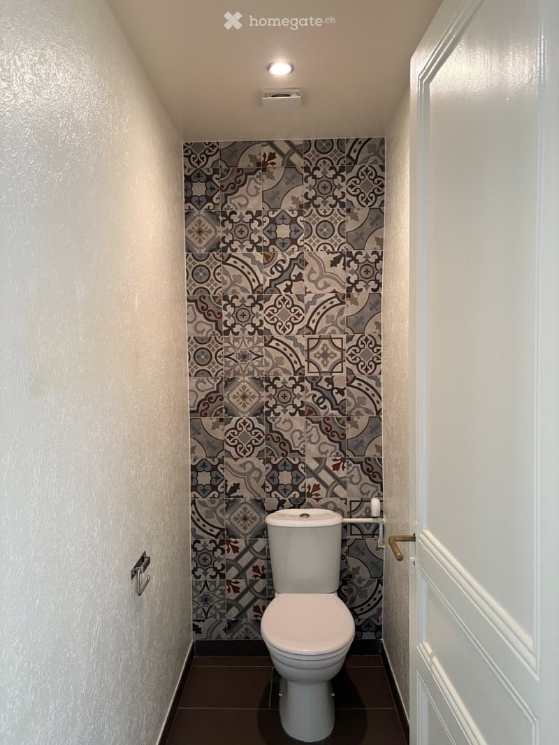 Modern bathroom with a white toilet, dark brown tiles on the floor, and decorative patterned tiles on one wall.
