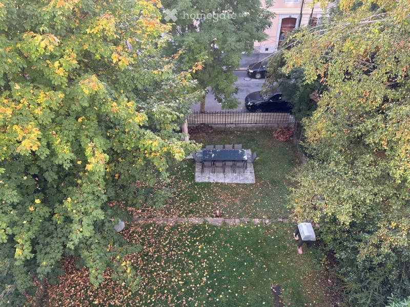 A small outdoor garden area with a table and chairs, surrounded by trees and greenery, with a paved area and a fence in the background.