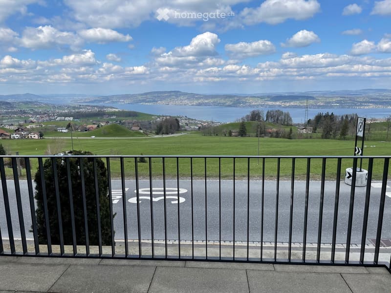 Balcony overlooking a scenic landscape with a lake, green fields, and distant hills under a partly cloudy sky.