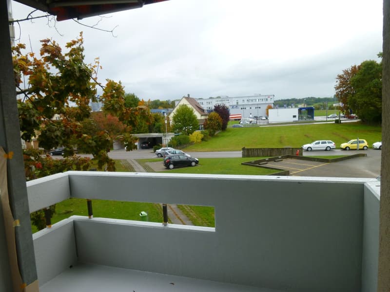 Balcony overlooking a parking lot, grassy area, and buildings in the distance. Trees and parked cars are visible.