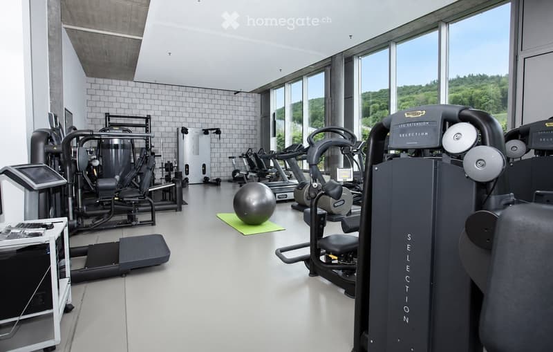 Modern fitness room with various exercise machines, a large window with a scenic view, a large exercise ball, and a small table with a screen and keyboard.