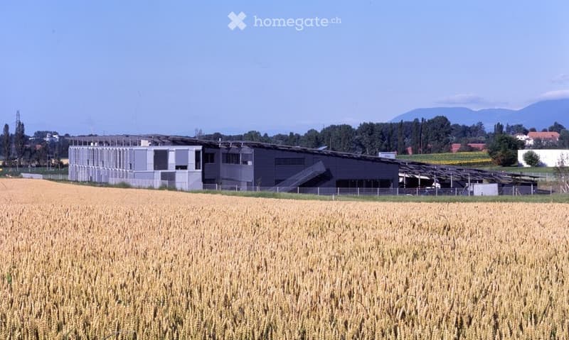 Modern industrial-style building with a large flat roof, surrounded by a field of golden crops and distant mountains.