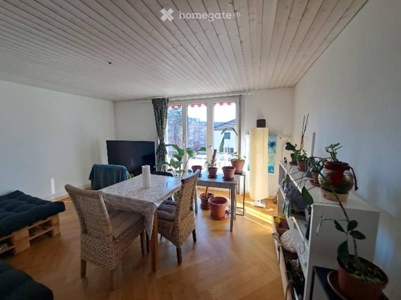 Bright room with wooden floor, large window with view, dining table with chairs, screen, shelves with plants.