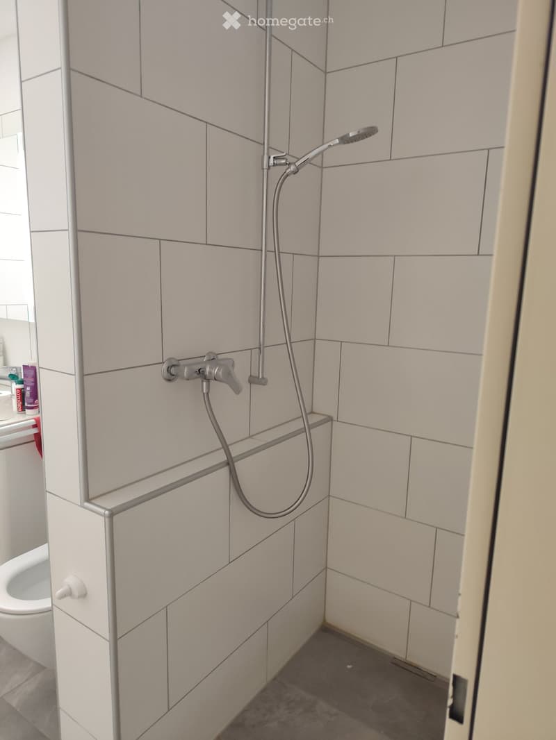 Modern bathroom with white tiled walls, a showerhead, a faucet, and a toilet visible in the background.