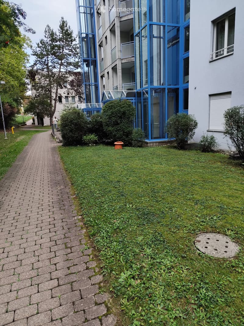 Garden area with a paved walkway, green grass, bushes, and a modern building with blue accents in the background.